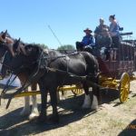 2018 clunes show (250) (Small).JPG