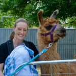 Clunes Show 2017