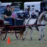 Clunes Show 2017