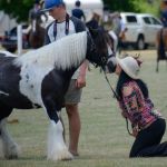 Clunes Show 2017