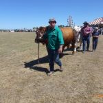 2018 clunes show (262) (Small).JPG