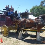2018 clunes show (247) (Small).JPG